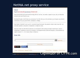 proxy,netnsk.net